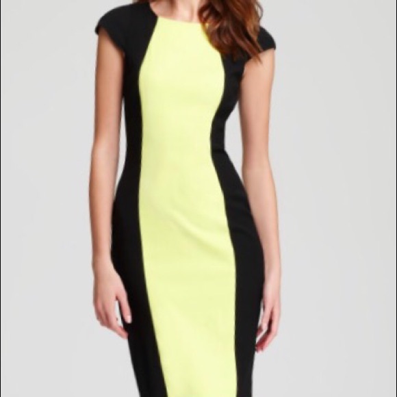 French Connection Reign Cap Sleeve Block Dress