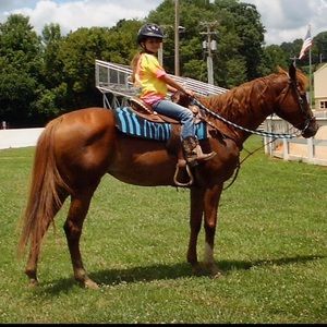 Meet your Posher, Sidney