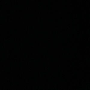 Meet your Posher, Daryl