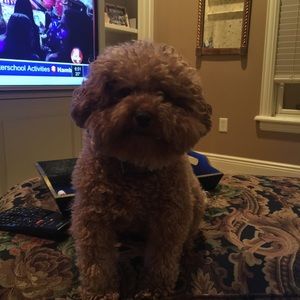 Meet your Posher, Mary