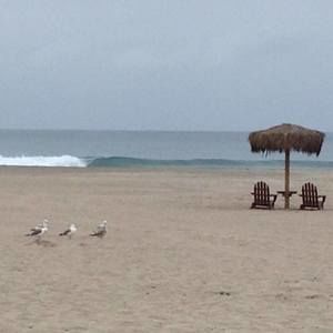 Meet your Posher, Heidi