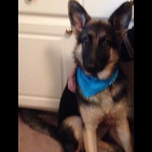 Meet your Posher, Trena