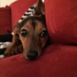 Meet your Posher, Kaylee