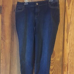 Lane Bryant Genius Fit Jeans