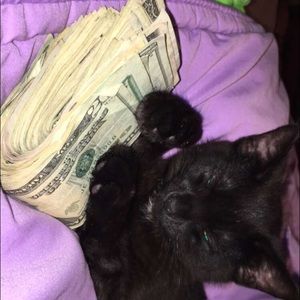 Meet your Posher, Leia