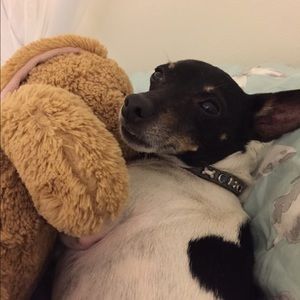 Meet your Posher, Joe