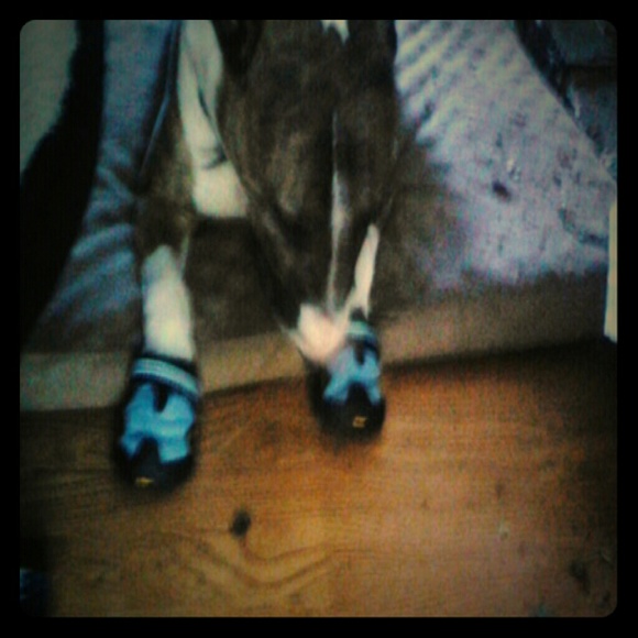 Ruff wear foot gear