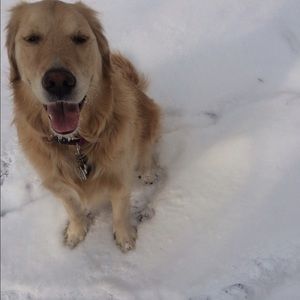 Meet your Posher, Emma