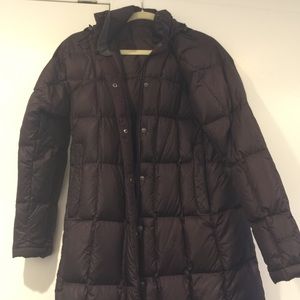 North Face Metropolis Parka in Dark Eggplant