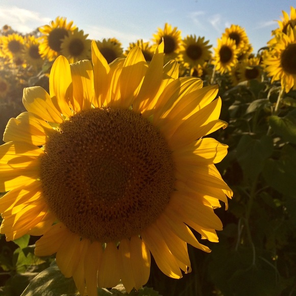 Meet your Posher, Laura