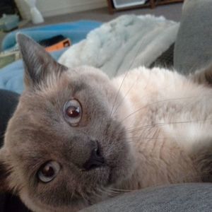 Meet your Posher, Leann