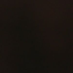 Meet your Posher, Taylore