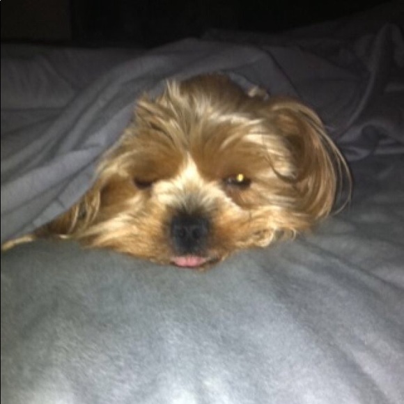 Hey I'm Debby! - Picture 6 of 7