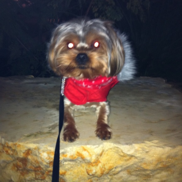 Hey I'm Debby! - Picture 4 of 7