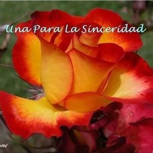 Meet your Posher, Juanita