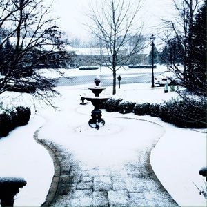 Meet your Posher, Elizabeth