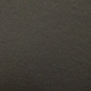 Meet your Posher, Shae