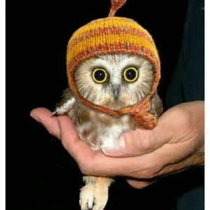 Meet your Posher, Fiona