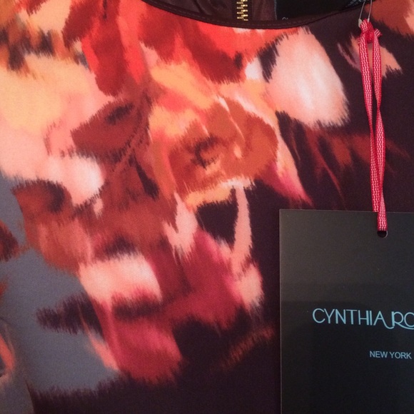 NWT Cynthia Rowley Dress. Size 4 FINAL PRICE - Picture 2 of 4