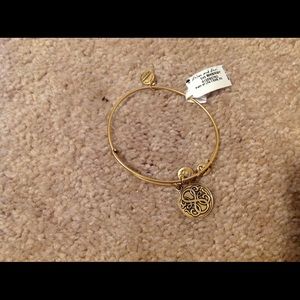 Alex and Ani Path of Life bracelet