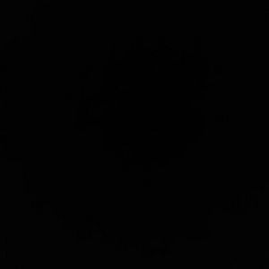 Meet your Posher, Spring