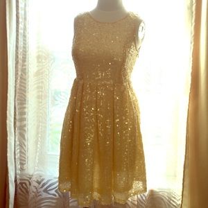 Sequin Fit and Flare Dress with cut out Back.