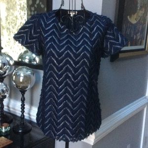 Anthropologie Navy and Silver Fun Top