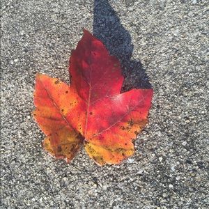 Meet your Posher, Faith