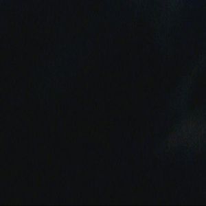 Meet your Posher, Whitney