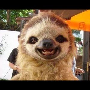 Meet your Posher, Deborah