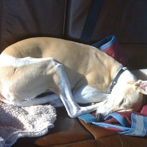 Meet your Posher, Mary lou