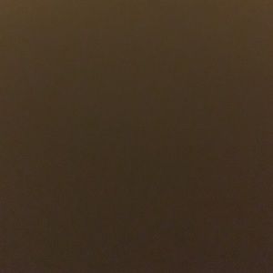 Meet your Posher, Bridget