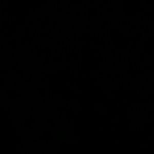 Meet your Posher, Edgar