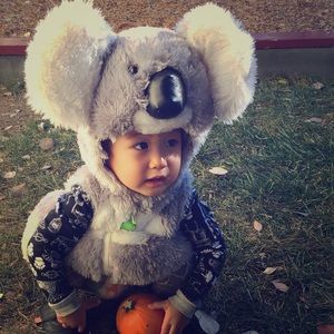 Koala costume - great condition. 18 months