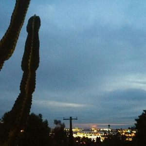 Meet your Posher, Nelida