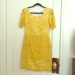 Antonio Melani Lace Dress (yellow)