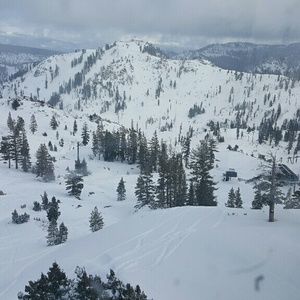 Meet your Posher, Dawn