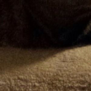 Meet your Posher, Breesia