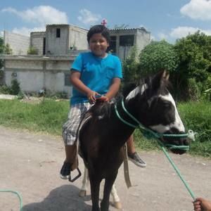 Meet your Posher, Miguel