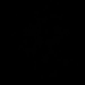 Meet your Posher, Cameron