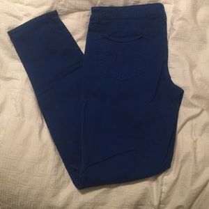 True blue colored jeggings