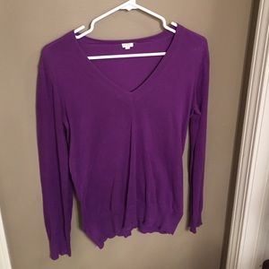 J. Crew long sleeved V Neck sweater