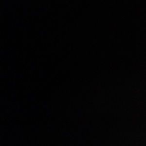 Meet your Posher, Allie