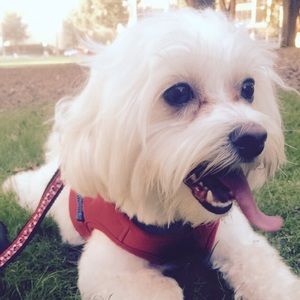 Meet your Posher, Alexia