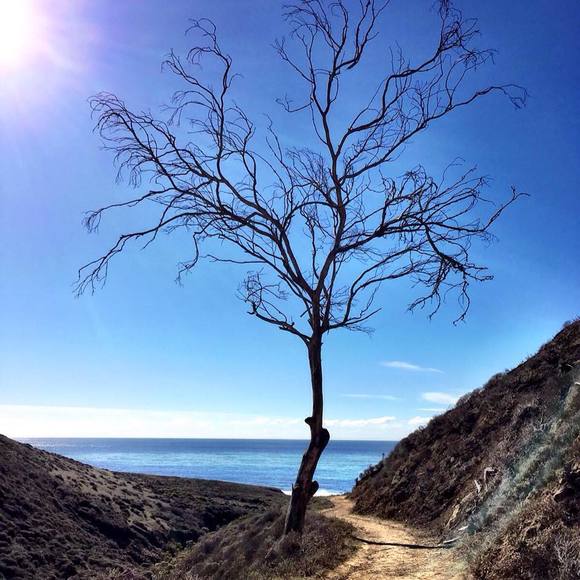 Meet your Posher, Sonia - Picture 1 of 1