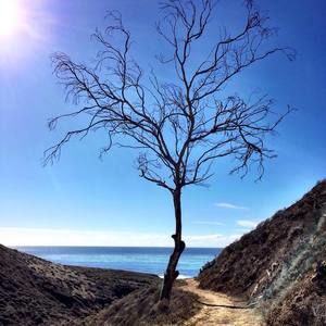 Meet your Posher, Sonia