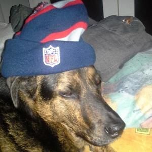 Meet your Posher, Dee