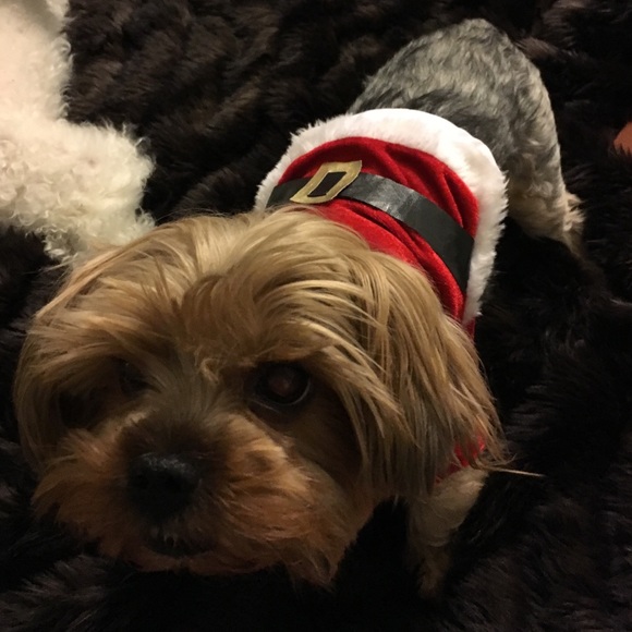 💋SOLD💋 Santa dog suit