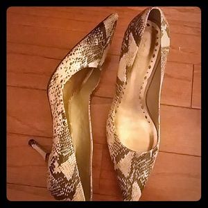 Pointy Python Pumps