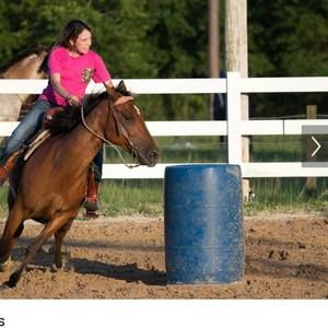 Meet your Posher, Callie